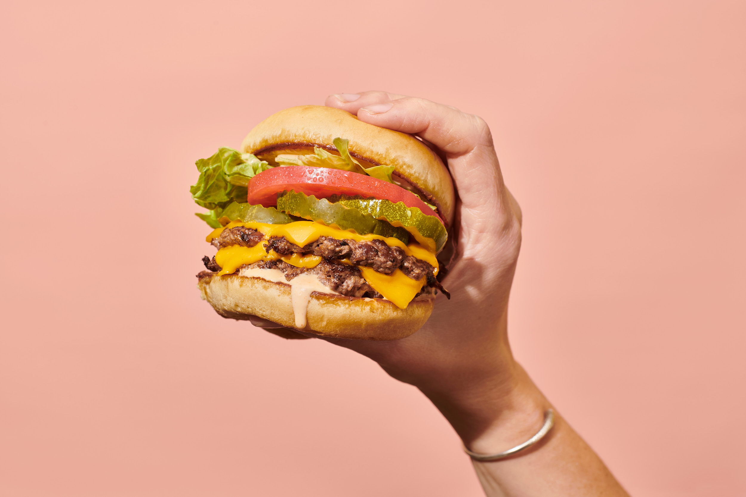 Burger-HandHeld